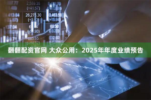 翻翻配资官网 大众公用：2025年年度业绩预告