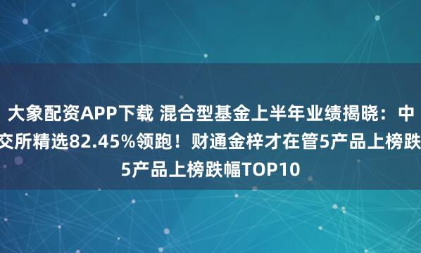 大象配资APP下载 混合型基金上半年业绩揭晓：中信建投北交所精选82.45%领跑！财通金梓才在管5产品上榜跌幅TOP10